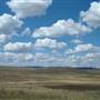 Monaro Plains