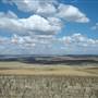 Monaro Plains