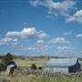 Monaro Plains