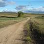 Monaro Plains