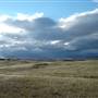 Monaro Plains