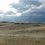 Monaro Plains