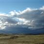 Monaro Plains