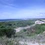 Cronulla Sand Dunes