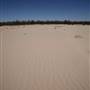 Kinchega National Park