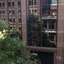 Property Council of Australia