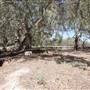 Bindara Station on the Darling - Period Homestead & Outbuildings
