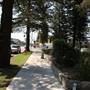 Collaroy Beach