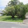 Stanwell Tops neighbourhood
