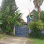 Manly Vale Neighbourhood