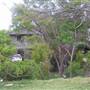 Manly Vale Neighbourhood