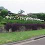 Mona Vale neighbourhood