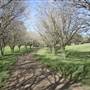 Private House - Crookwell