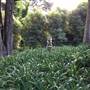 The Ridge at Bowral-Private property