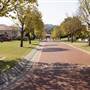 HARRINGTON PARK HOUSES