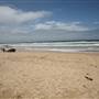Cronulla Beach North End (Greenhills)
