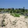 Wanda Beach