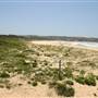 South Maroubra Beach