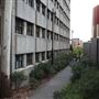 Macquarie University