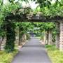Royal Botanic Garden Sydney
