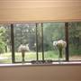 Prize Farm - Private Property Minimbah