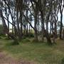 Wattamolla Beach