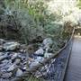 Minnamurra Rainforest Walk - Budderoo National Park