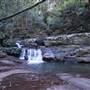 Minnamurra Rainforest Walk - Budderoo National Park