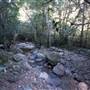 Minnamurra Rainforest Walk - Budderoo National Park