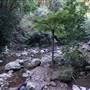 Minnamurra Rainforest Walk - Budderoo National Park