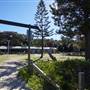 Caves Beach