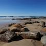 Frazer Beach Campground - Munmorah State Conservation Area