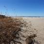 Frazer Beach Campground - Munmorah State Conservation Area