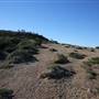 Munmorah State Conservation Area - Snapper Pt and Bongon Beach