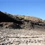 Munmorah State Conservation Area - Snapper Pt and Bongon Beach