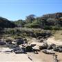 Munmorah State Conservation Area - Snapper Pt and Bongon Beach