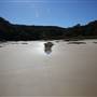 Munmorah State Conservation Area - Snapper Pt and Bongon Beach