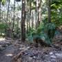 Munmorah State Conservation Area - Palms Picnic Area