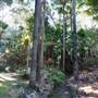 Munmorah State Conservation Area - Palms Picnic Area