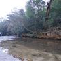 Somersby Falls picnic area - Brisbane Water National Park