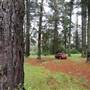 Jenolan State Forest