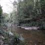 Red Cedar Flat picnic area