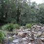 Red Cedar Flat picnic area