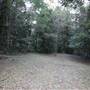 Red Cedar Flat picnic area