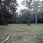 Red Cedar Flat picnic area