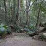 Mount Keira Scout Camp File 1