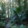 Mount Keira Scout Camp File 1