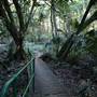 Mount Keira Scout Camp File 1