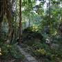 Mount Keira Scout Camp File 1