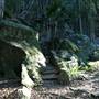 Mount Keira Scout Camp File 1